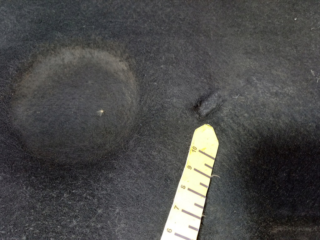 фото №6, Audi a8 d3 шумоізоляція капот 4e0868825l