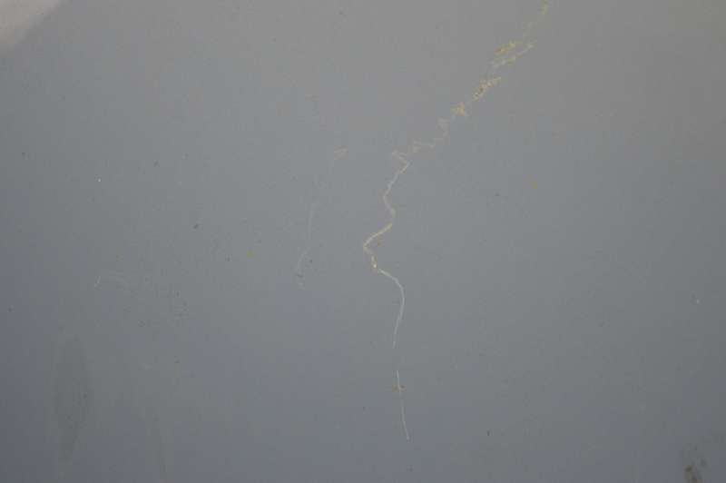 фото №5, Капот крышка двигателя голубой volvo v70 2 ii 00-07