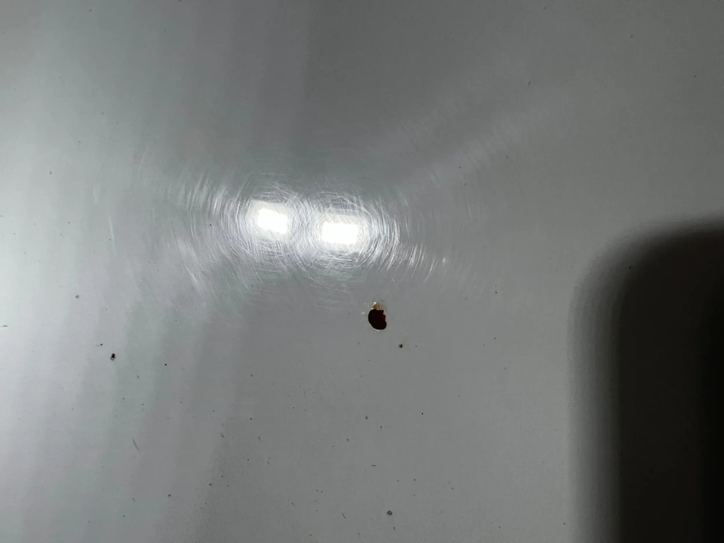 фото №10, Skoda superb ii lift капот крышка двигателя lf9f