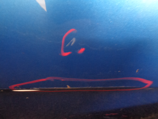 фото №4, Citroen c3 ii дверь левая задние kwgd