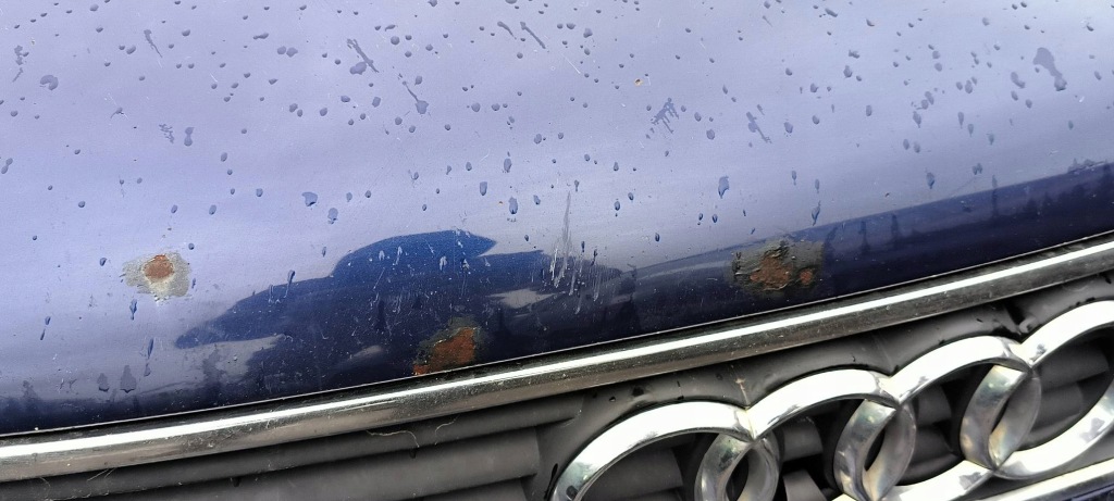 фото №7, Капот lz5k audi a4 b5