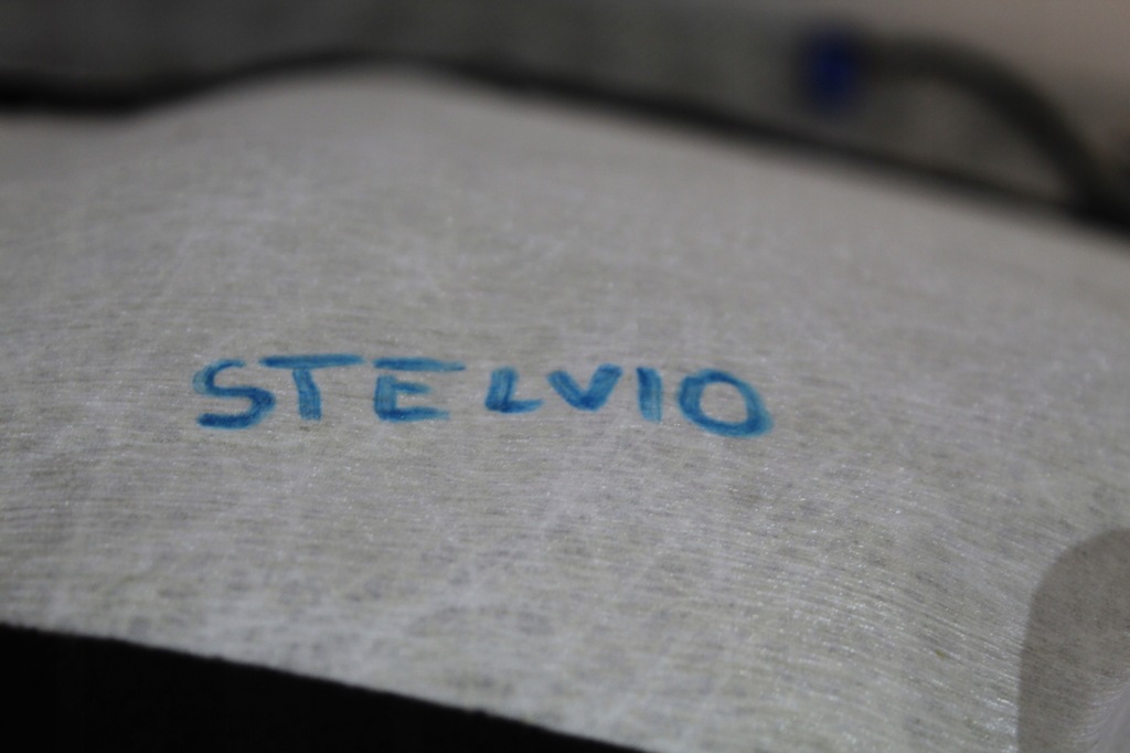 фото №8, Потолок стойки stelvio