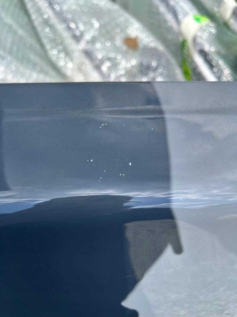 Двері правий задня задні повний renault express van kangoo iv 21- Зі Шроту