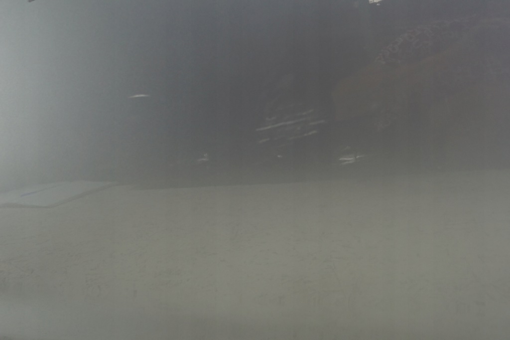 фото №16, Двері правий перед opel astra j