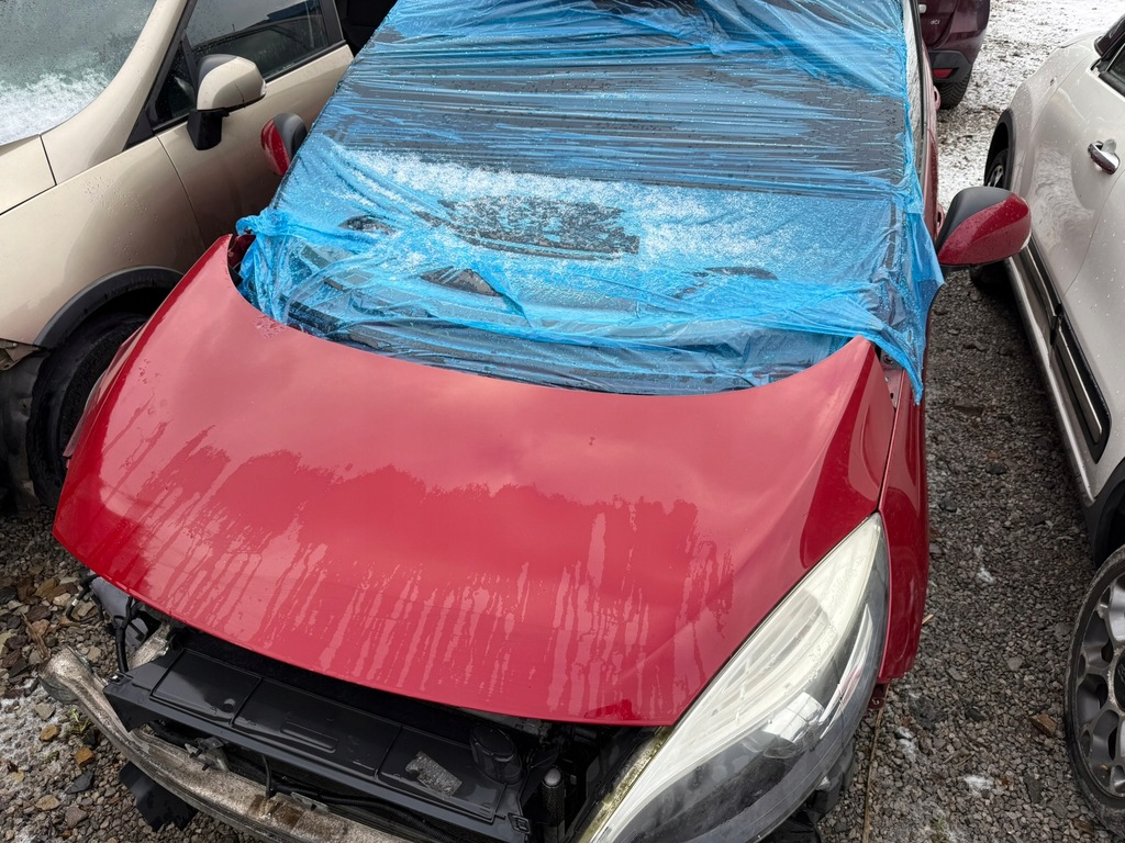 фото №1, Renault scenic iii lift капот колір tennj