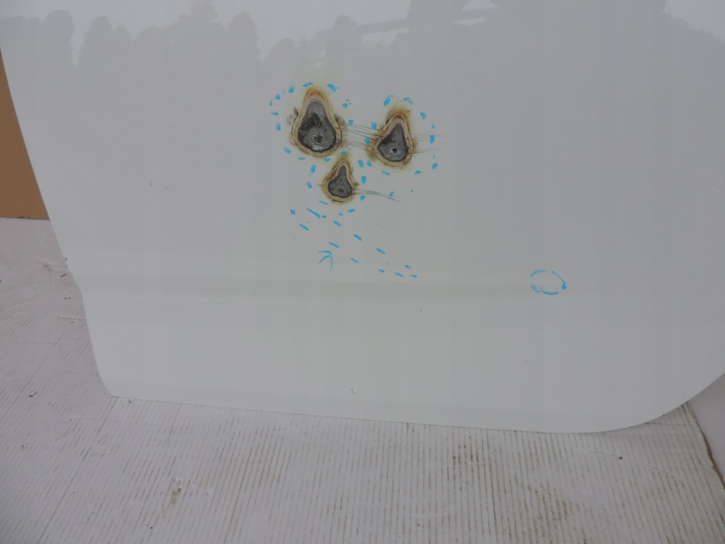 фото №6, Skoda scala двері лівий задня