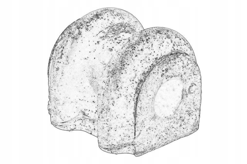 фото №1, Подушка стабілізатора оригінальний номер hyundai 555132b200