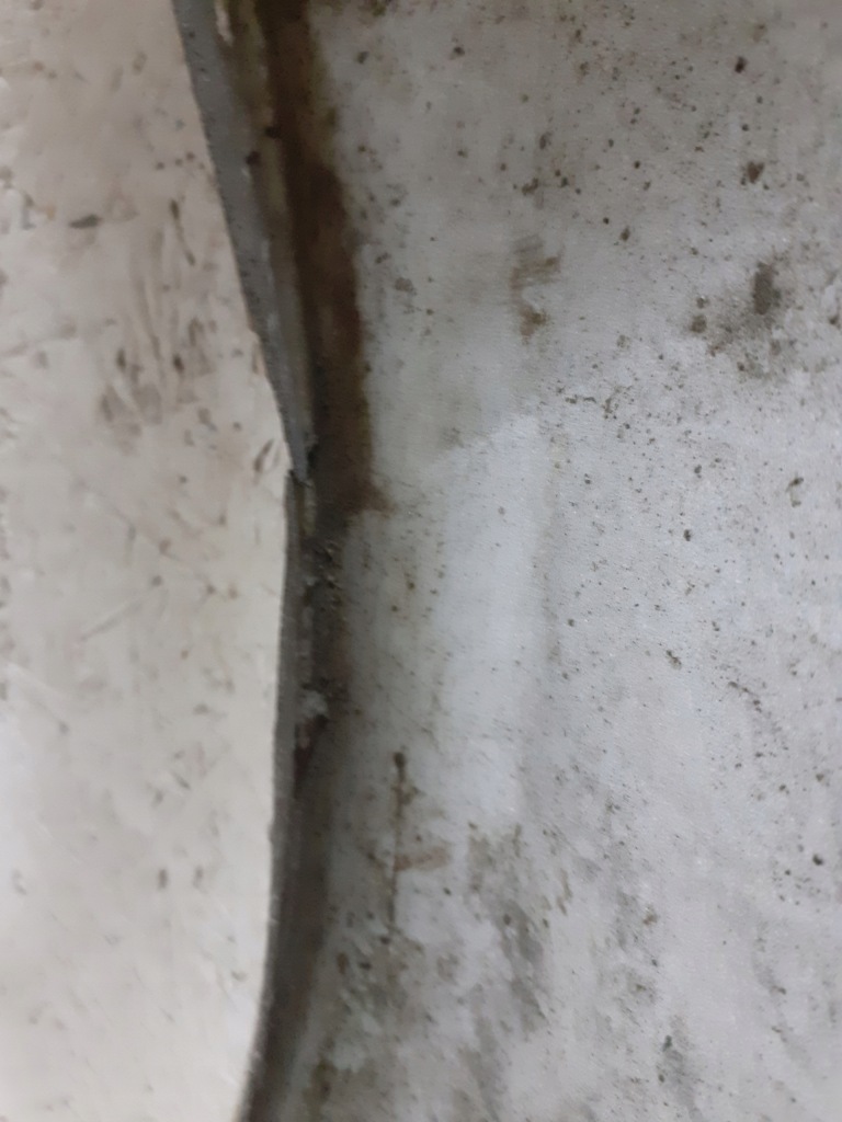 Крыло  передний перед правый  audi a5 8t0 2008-2016r Недорого