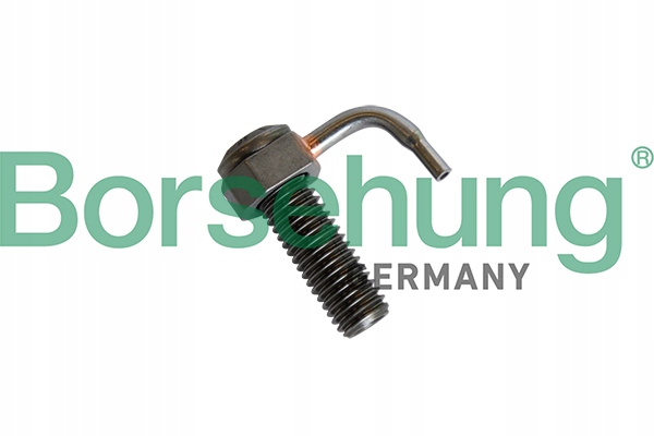 фото №1, Форсунки масляні borsehung b11162