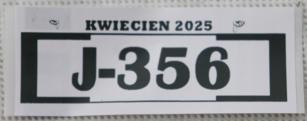 фото №15, Toyota corolla e21 молдинг поріг накладка права 75850-02220 j-356 a171