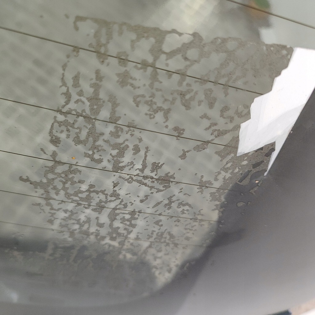 фото №7, Polestar 2 2022 задняя крышка багажника багажника