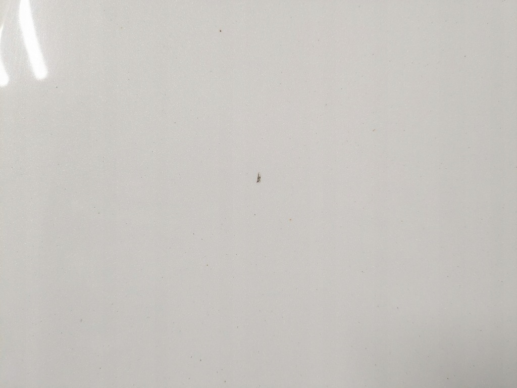 фото №6, Капот + петли + шумоизоляция infiniti q50 v37 цвет qaa 2013-