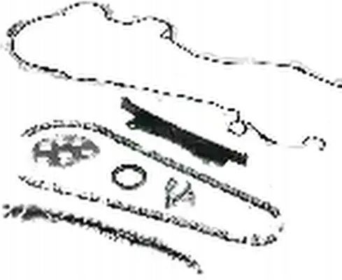 Купити Набір ланцюга розподільного валу 559 0028 30 ina