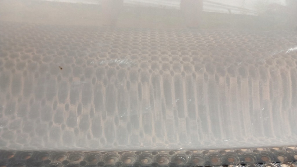 фото №9, Bmw 1 e82 e81 двері перед правий a52