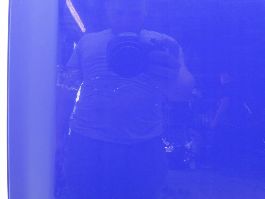 фото №9, Двері ліва лівий bok зсувні vw caddy iii 2k la5c