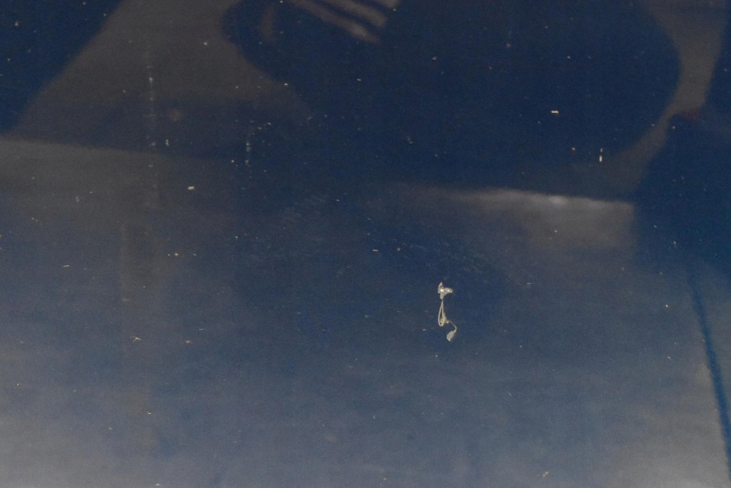 фото №6, Дверь левая перед передние niebieskie nissan micra k13 4 iv 5d hb lift 13-16