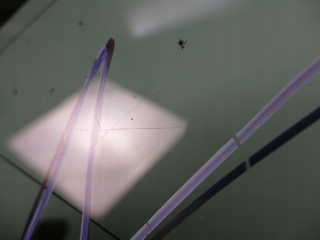 фото №3, Mazda mpv скло кузовна правий задня