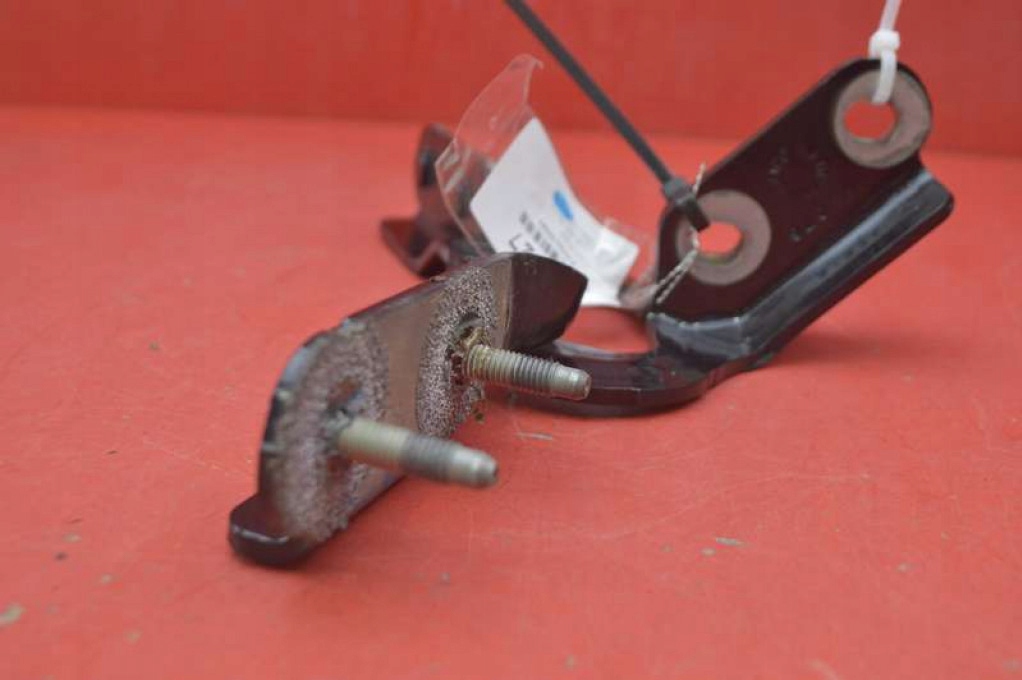 фото №6, Петля петли крышки задняя lj6b-s42901-ab ford kuga 3 iii mk3 19-21