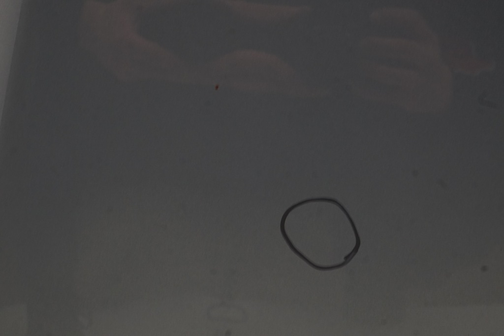 фото №9, Opel antara lift 12r капот gje