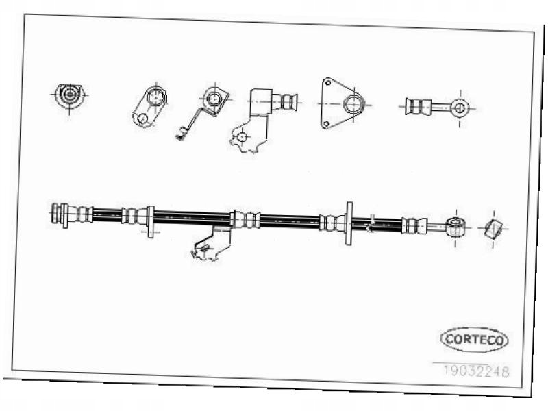 фото №2, Шланг перед corteco 19032248
