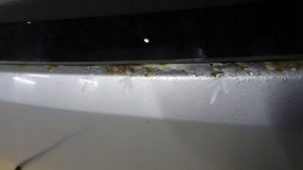 фото №16, Punto 3 iii кришка багажника задня 3d