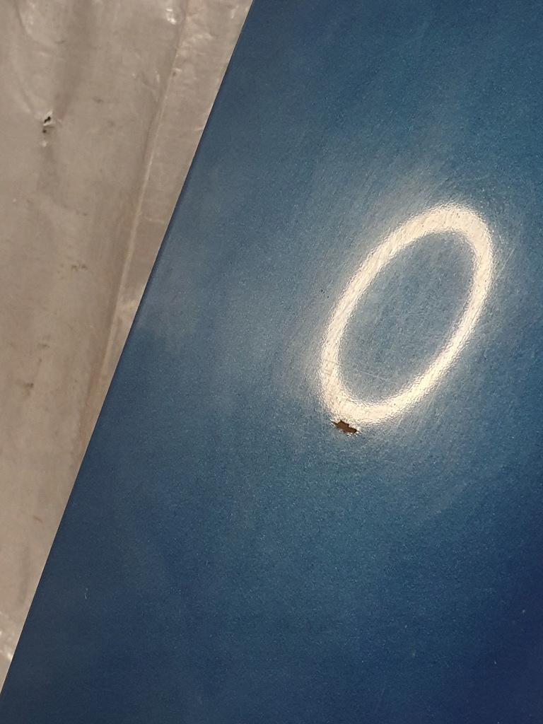 фото №10, Капот nissan almera tino 00-06r.