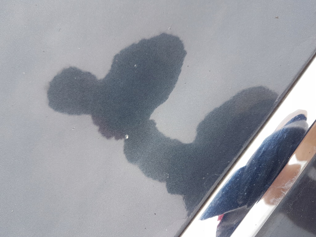 фото №10, Citroen c5 iii дверь левый перед передние eypc