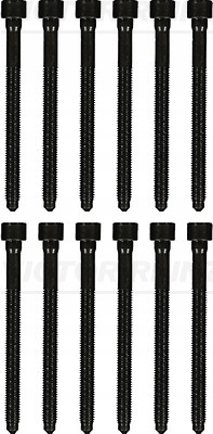 фото №1, Болти головки reinz 14-32276-02 06d103385d