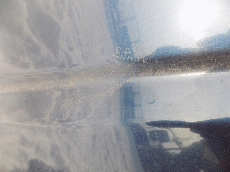 фото №6, Subaru forester ii sg 04r 35j капот