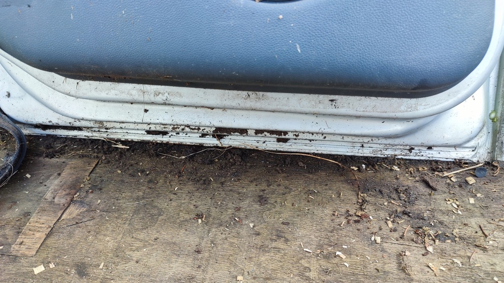 фото №6, Двері повний лівий задня seat leon i toledo ii