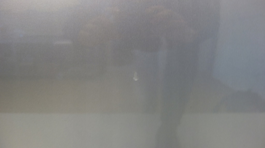 фото №6, Volvo xc90 двері ліва передні 477