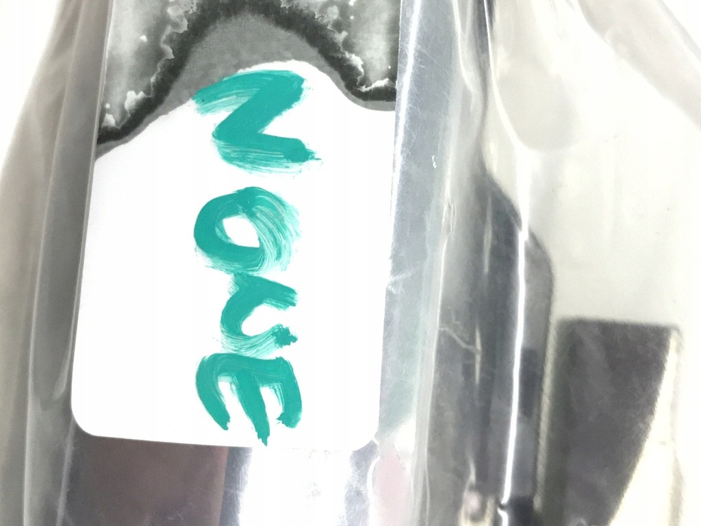 фото №12, Ручка двері хром задня права leaf ii