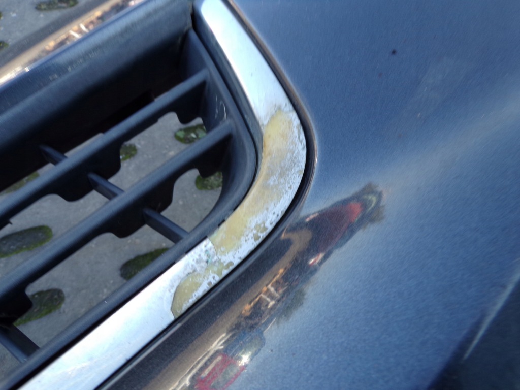 фото №12, Бампер передний перед renault laguna 2 ii lift цвет teb66 1