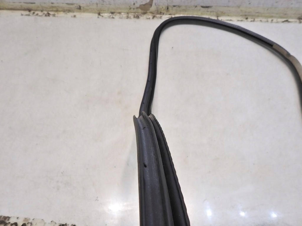 фото №5, Прокладка двері правий перед renault latitude