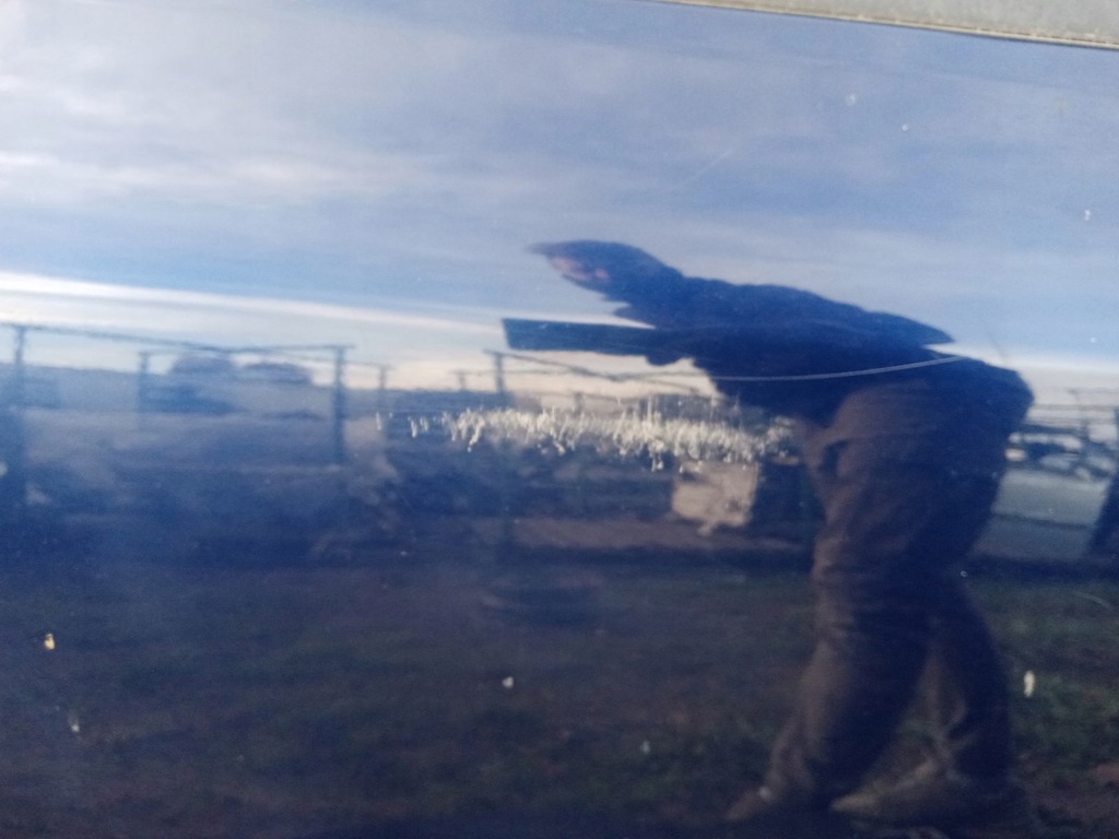 фото №7, Дверь правый задняя skoda octavia i lf5u