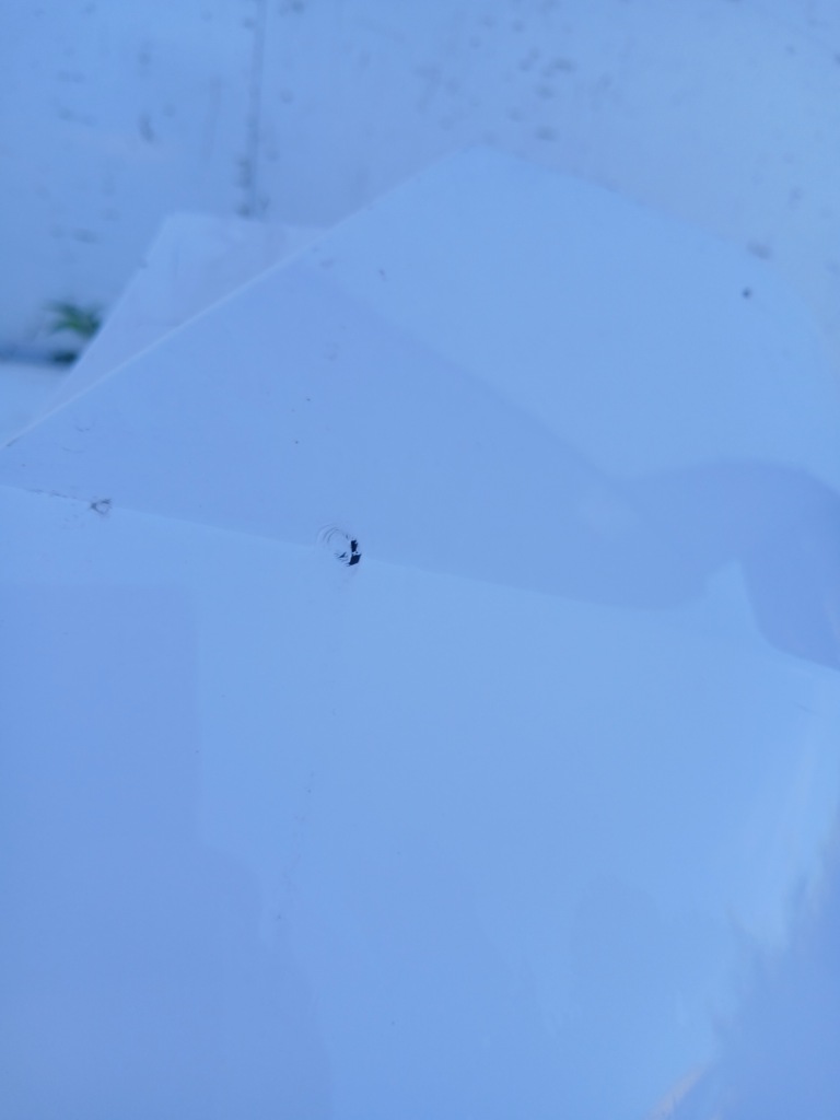 Бампер задня coupra formentor Оригінал