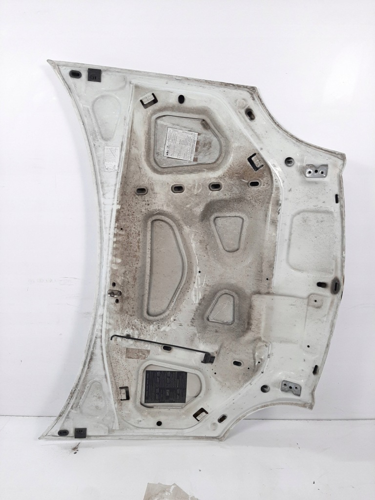 Renault kangoo express lift 05r капот kod 0389 Ціна