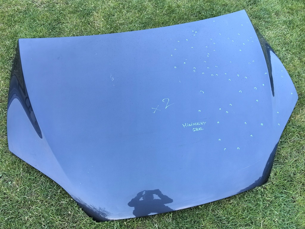 фото №1, Tesla model x капот мінімальний grad