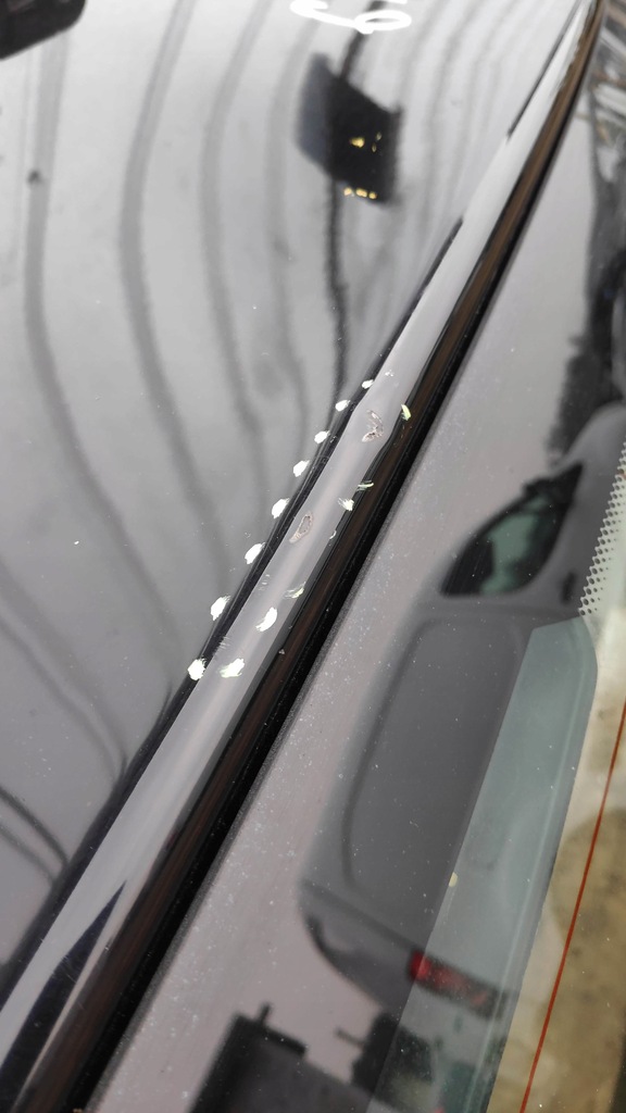 фото №6, Кришка багажника багажника bmw 1 e87 lift 3d 668 schwarz 2