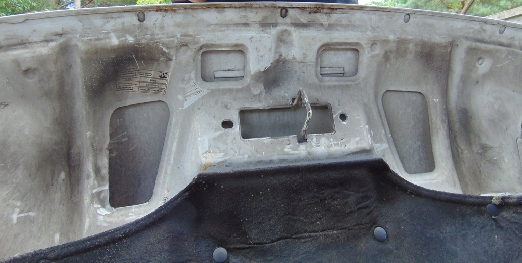 фото №14, Капот петли iveco daily 4 iv 2014r- europa