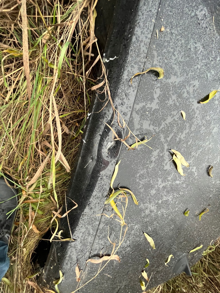 фото №3, Renault clio v - крыша