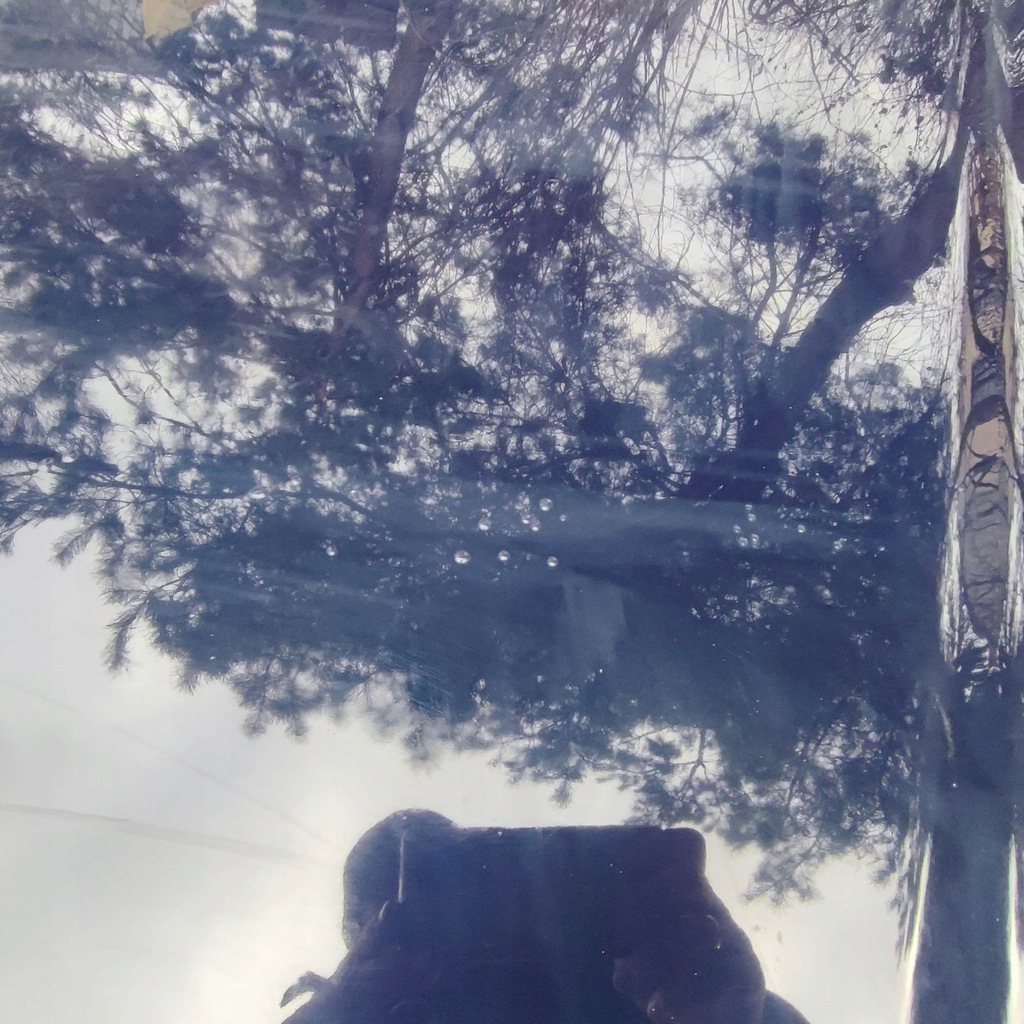 фото №10, Капот перед audi a6 c5 lift ly5k