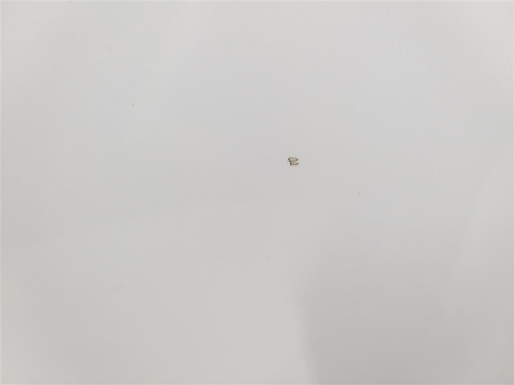 Капот кришка opel insignia a рестайлінг  lak:40r 2016r Київ