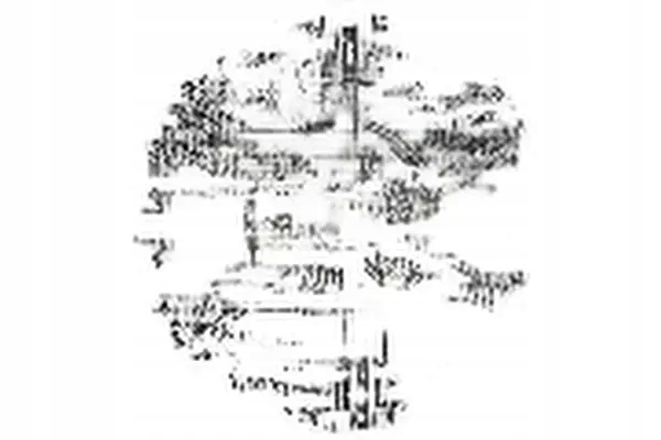 Купить Прижим сцепления 228 0155 10 luk