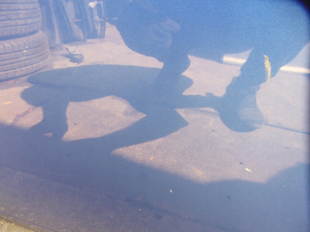 фото №5, Дверь перед передние левая перед seat arosa lw5y