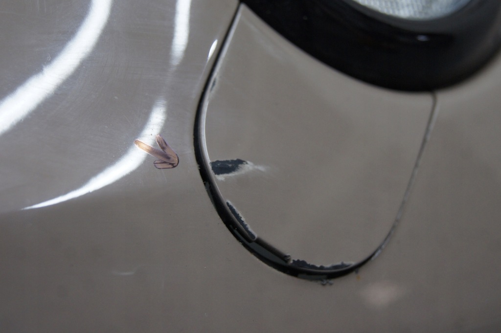 фото №9, Бампер задний z41d направляющая балка кронштейн adam 1.0