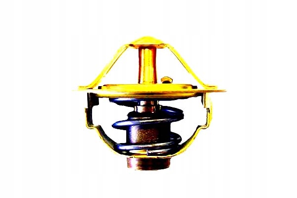 фото №1, Термостат fiat kia wahler