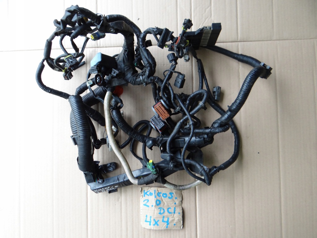 фото №1, Жгут двигателя renault koleos i 2,0 dci