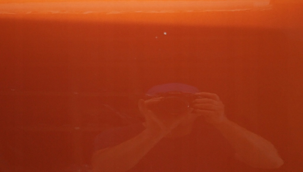 фото №13, Двері правий перед renault megane iii coupe