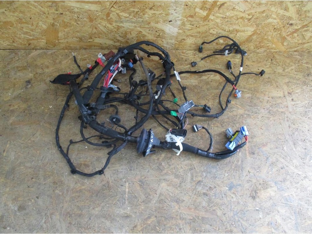 фото №1, Жгут электропроводка отсек лампа передних megane iv
